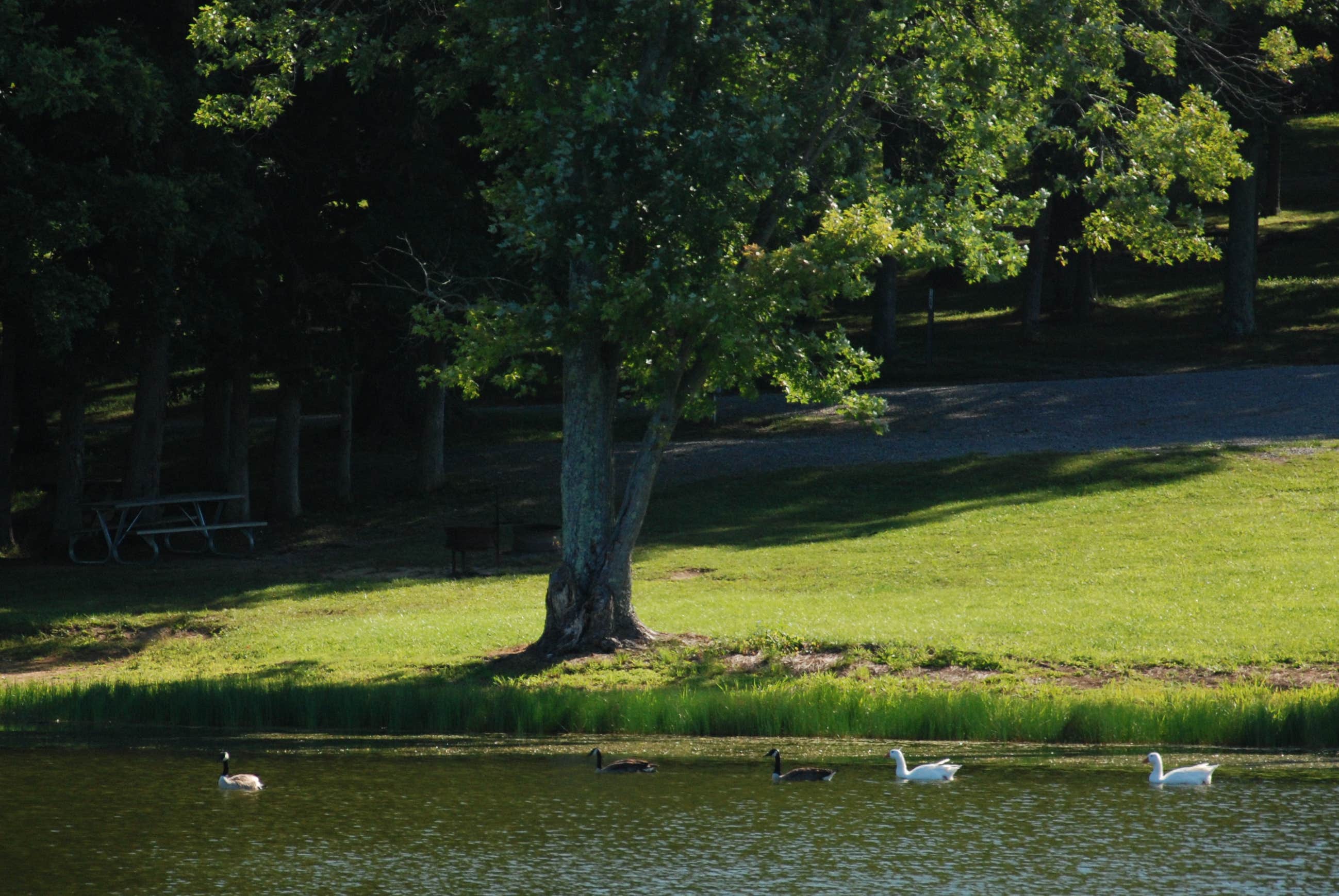 Camper submitted image from Lake Snowden Campground - Hocking College - 3
