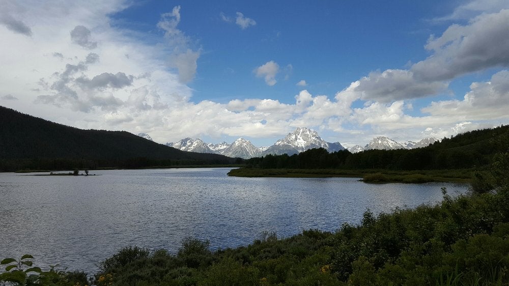 Camper submitted image from Lizard Creek Campground — Grand Teton National Park - 2