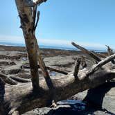 Review photo of Hobuck Resort and Beach Area by Kaila  R., August 7, 2018