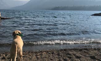 Shayna M.'s photo of camping with pets at Fallen Leaf Campground - South Lake Tahoe near South Lake Tahoe, CA