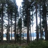 Review photo of Fallen Leaf Campground - South Lake Tahoe by Shayna M., August 7, 2018