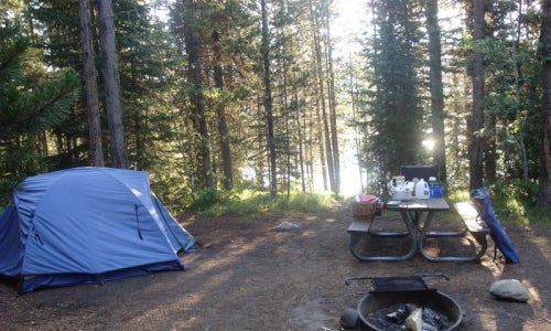 Camper submitted image from Lizard Creek Campground — Grand Teton National Park - 3