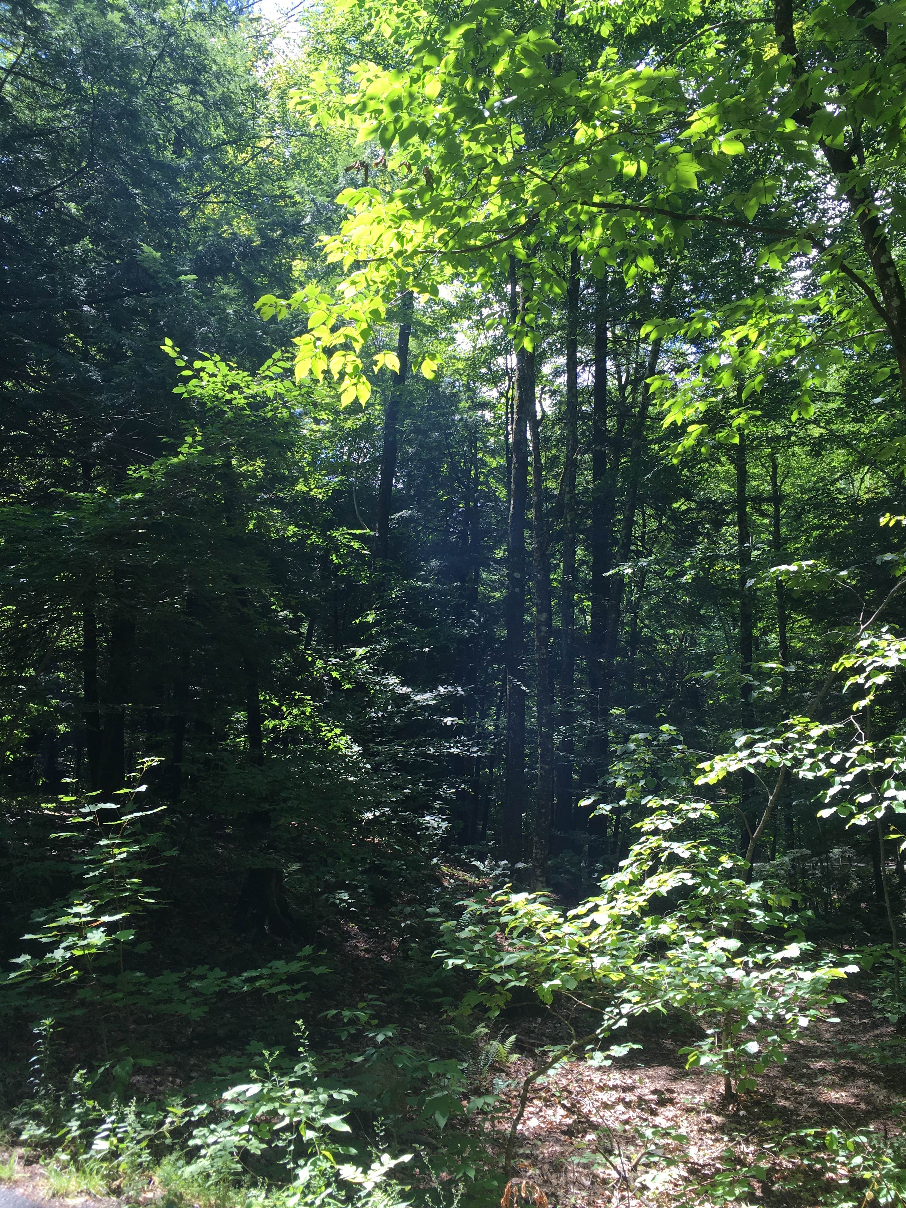 Camper-submitted photo at Emerald Lake State Park Campground in Vermont