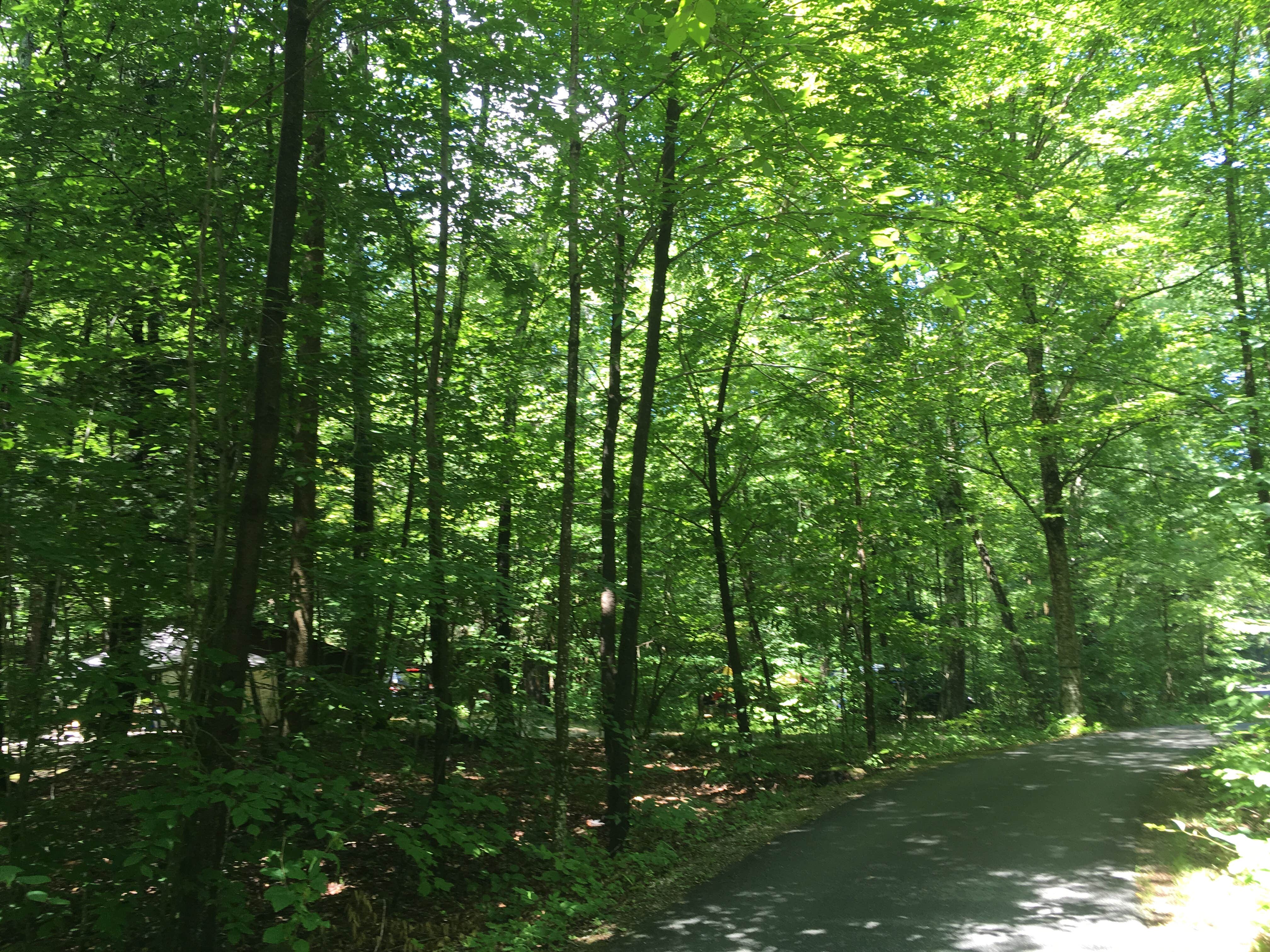 Camper-submitted photo at Emerald Lake State Park Campground in Vermont