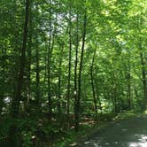 Review photo of Emerald Lake State Park Campground by Natalie N., August 7, 2018