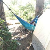 Review photo of Lava Point Campground — Zion National Park by Shayna M., August 7, 2018