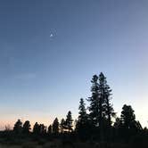 Review photo of Lava Point Campground — Zion National Park by Shayna M., August 7, 2018