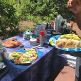 Review photo of Lava Point Campground — Zion National Park by Shayna M., August 7, 2018