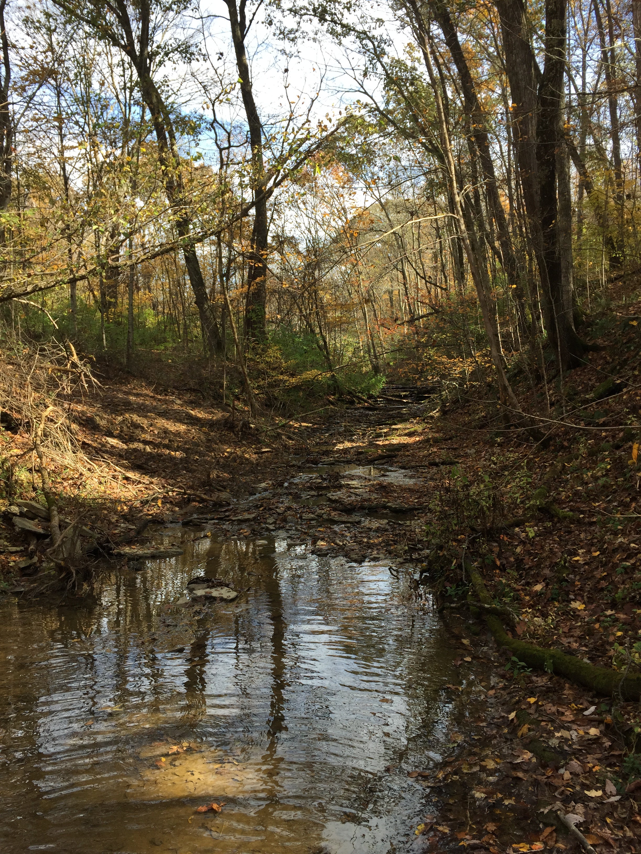 One of the creeks along the horse trails.