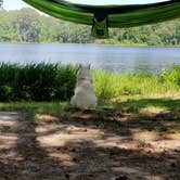 Review photo of Huntsville State Park Campground by Sydney L., August 7, 2018