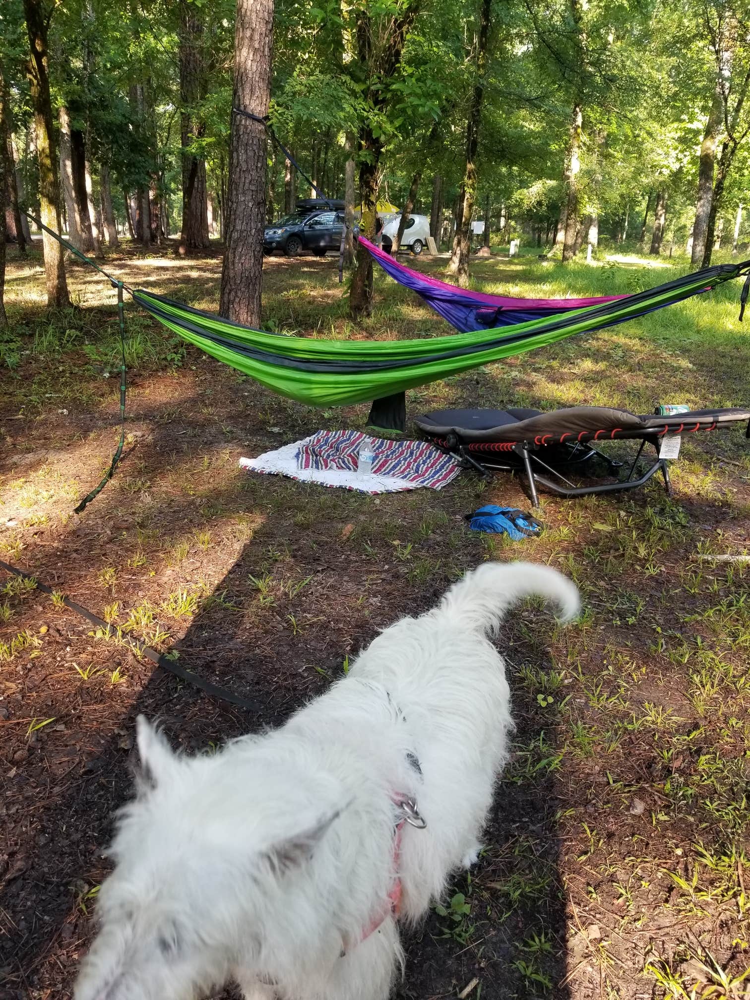 Camper submitted image from Ratcliff Lake Recreation Area - 4