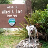 Review photo of Alfred A. Loeb State Park Campground by Cindy U., August 7, 2018