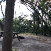 Review photo of Kissimmee Prairie Preserve State Park Campground by Kristin G., August 7, 2018