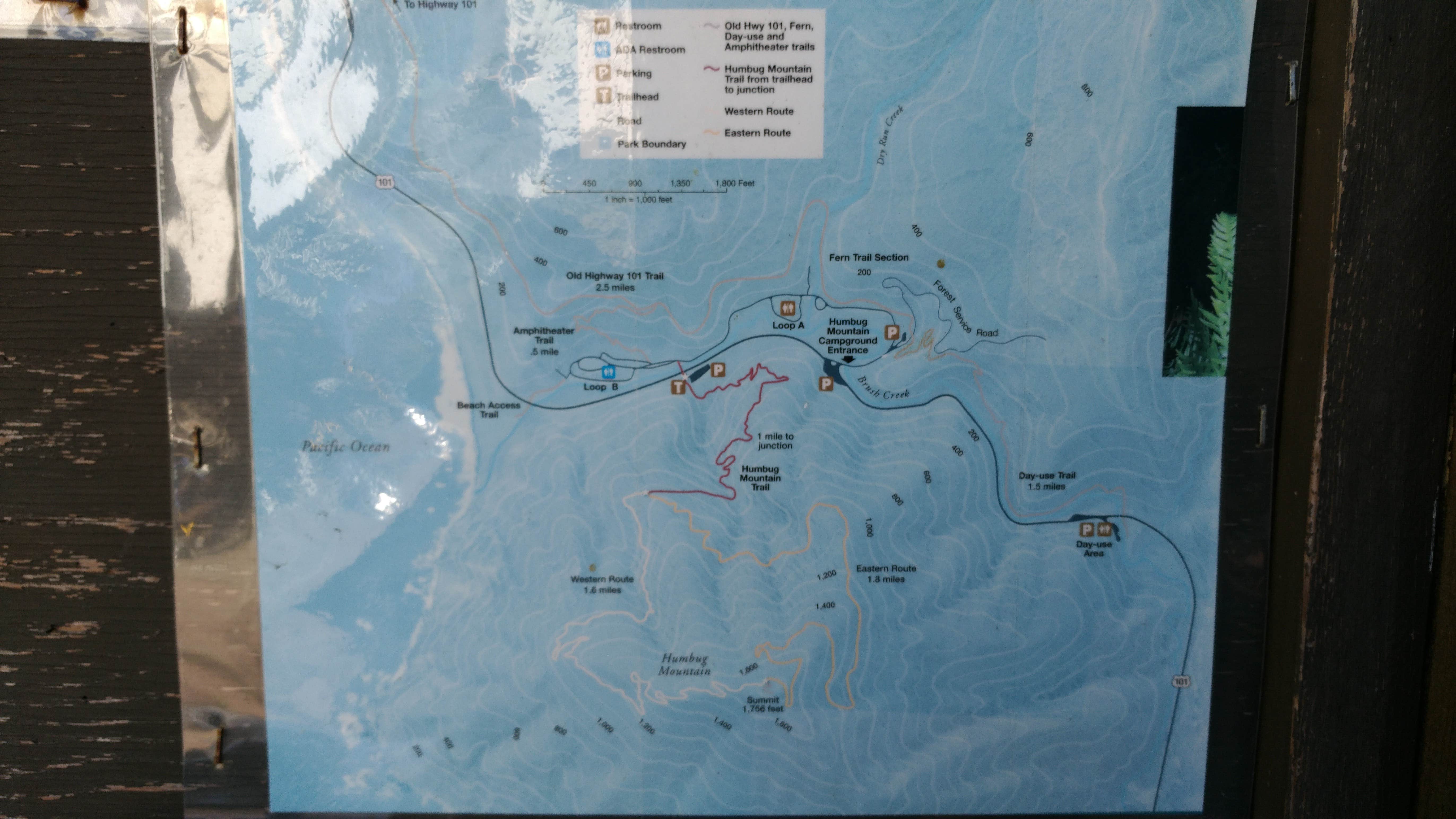 Camper-submitted photo at Humbug Mountain State Park Campground near Agness, OR