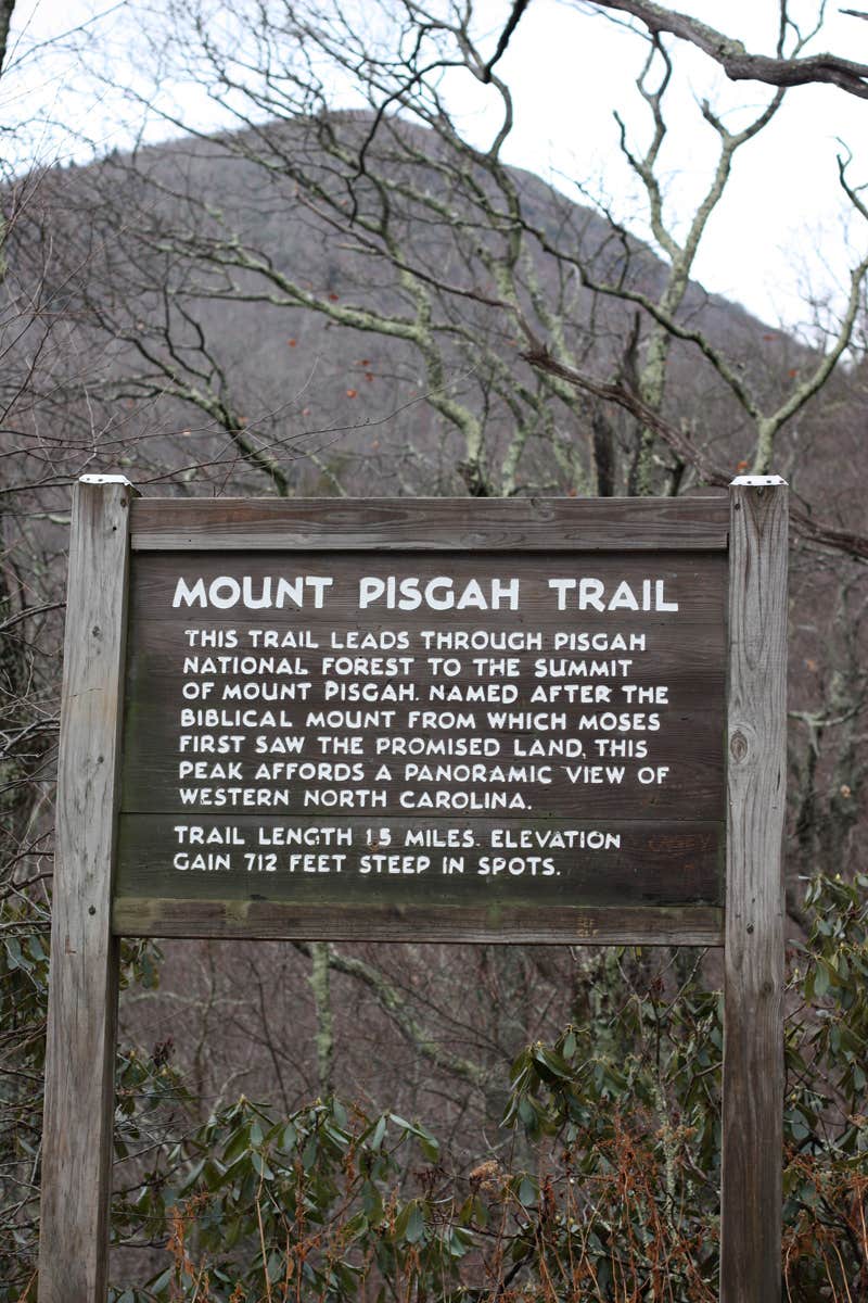 Camper submitted image from Mount Pisgah Campground - 5