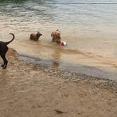 Review photo of Alum Creek State Park Campground by Trisha P., August 7, 2018