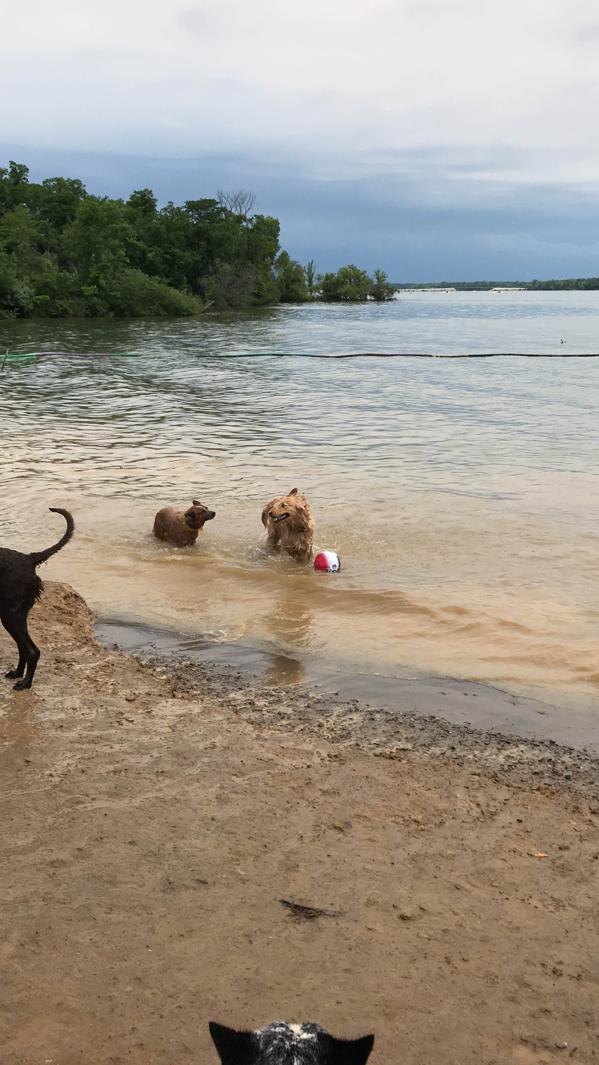 Camper submitted image from Alum Creek State Park Campground - 5