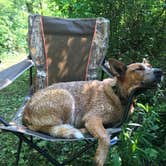 Review photo of Alum Creek State Park Campground by Trisha P., August 7, 2018