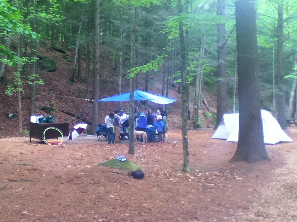 Camper submitted image from Mohawk Trail State Forest - 3