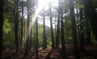 Camping near Historic Valley Campground: Mohawk Trail State Forest, Drury, Massachusetts