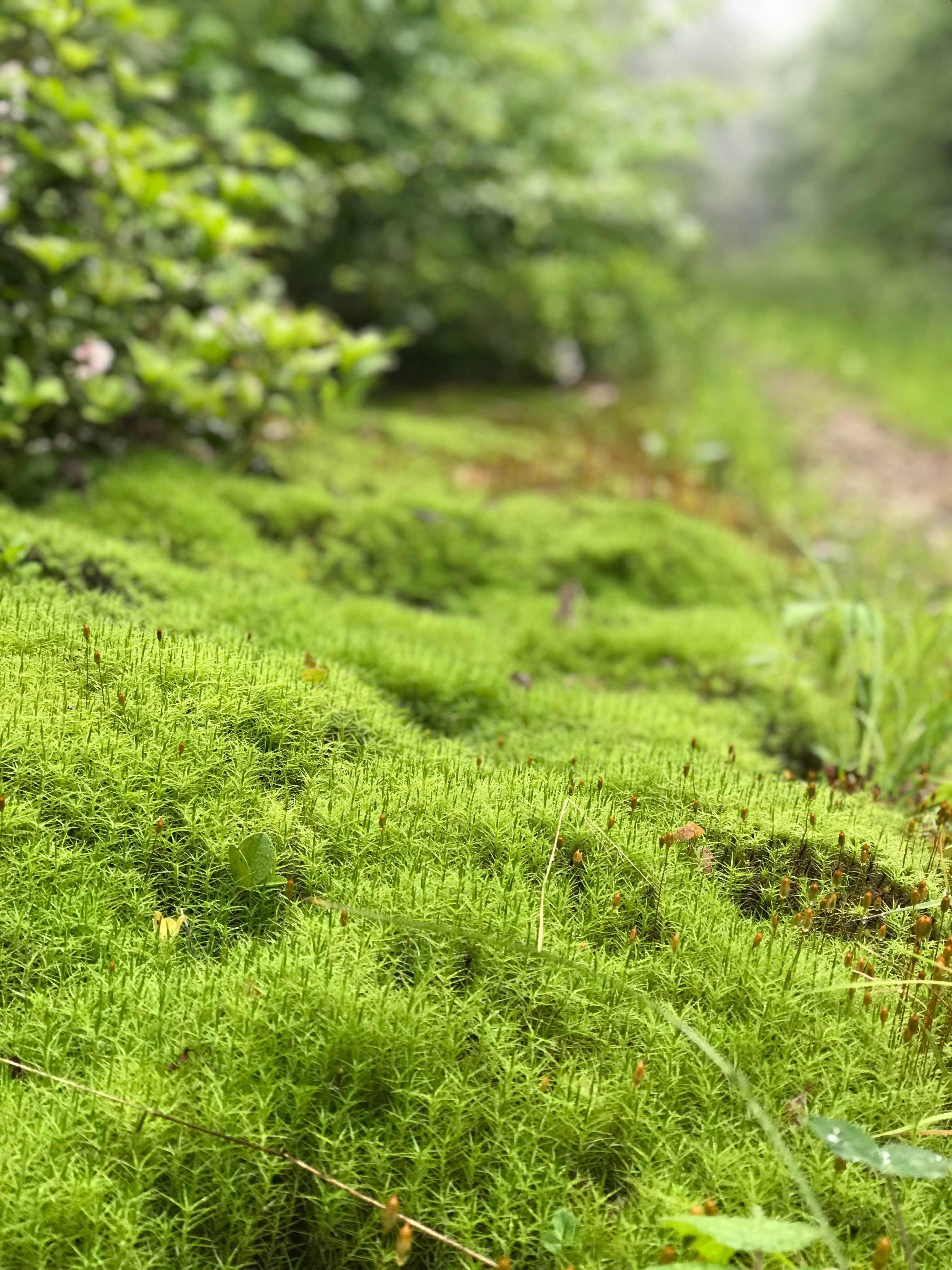 Camper-submitted photo at Savage River State Forest near Cumberland, MD