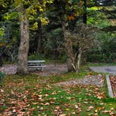 Review photo of Mount Pisgah Campground by phillip L., July 30, 2016