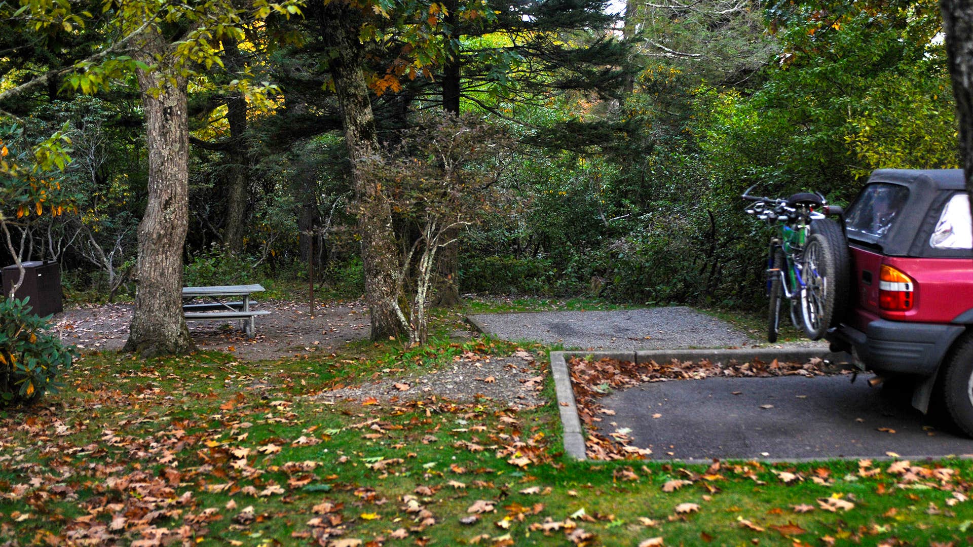 Camper submitted image from Mount Pisgah Campground - 4