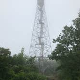 Review photo of Savage River State Forest by Trisha P., August 7, 2018