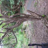 Review photo of Mount Pisgah Campground by phillip L., July 30, 2016