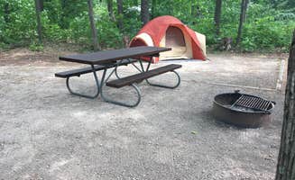 Amanda L.'s photo at D.H. Day Campground — Sleeping Bear Dunes National Lakeshore near Sleeping Bear Dunes