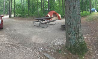Amanda L.'s photo at D.H. Day Campground — Sleeping Bear Dunes National Lakeshore near Sleeping Bear Dunes National Lakeshore