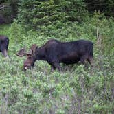 Review photo of Site 459 - State Forest State Park by Amanda M., August 7, 2018