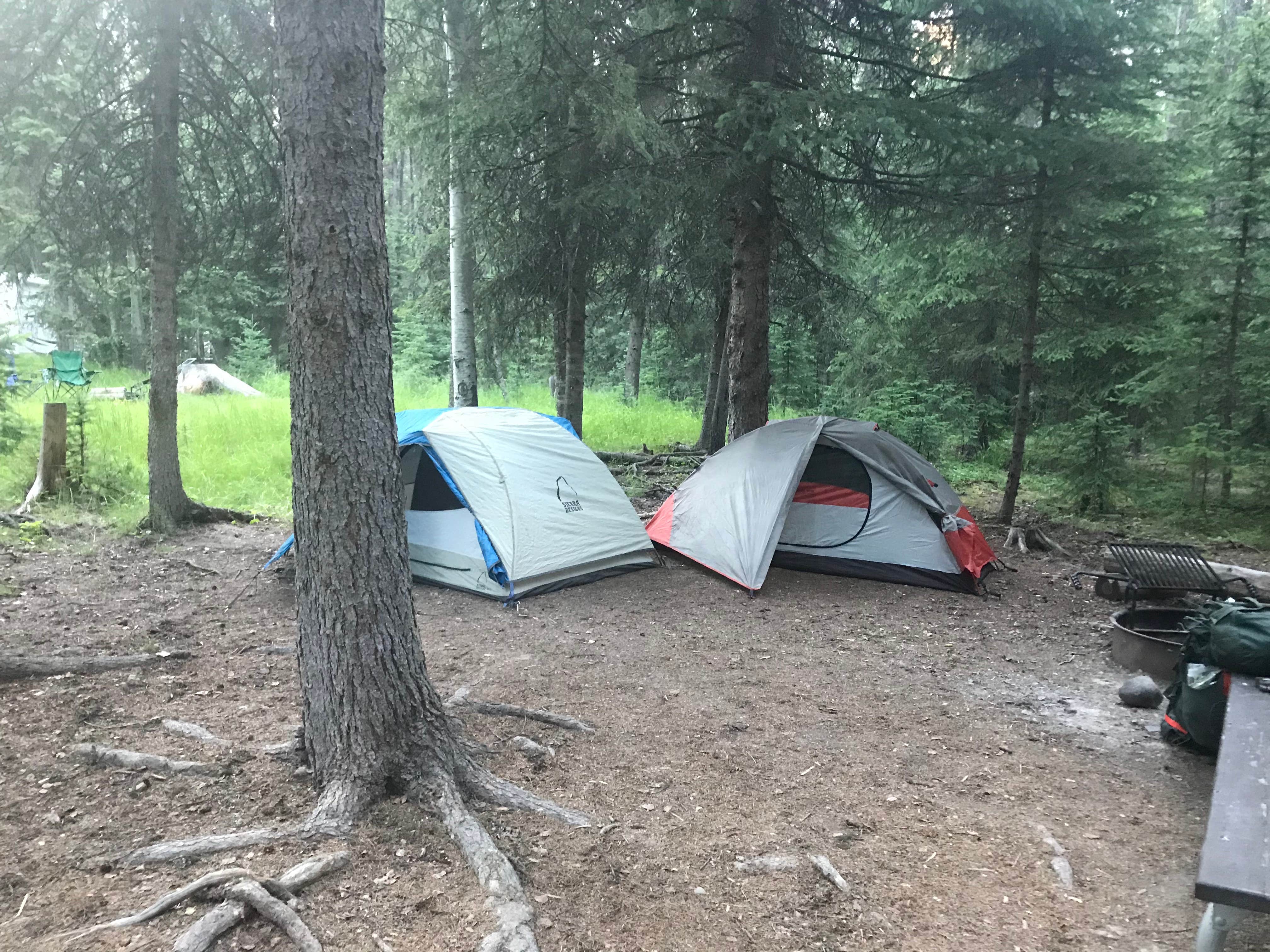 Matthew J.'s photo at Bowman Lake Campground — Glacier National Park near Fortine, MT