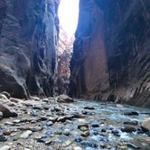 Review photo of South Campground — Zion National Park by Alexis P., August 7, 2018