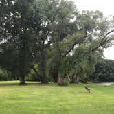 Review photo of Neshonoc Lakeside by Megan S., August 7, 2018
