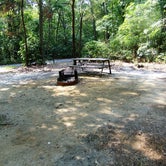 Review photo of Parvin State Park Campground by Trisha P., August 7, 2018