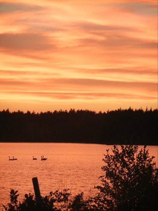 Camper-submitted photo at Parvin State Park Campground near Downe, NJ