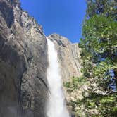 Review photo of Upper Pines Campground — Yosemite National Park by Alexis P., August 7, 2018