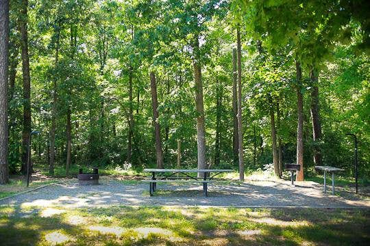 Camper submitted image from Canebrake Horse Camp - 2