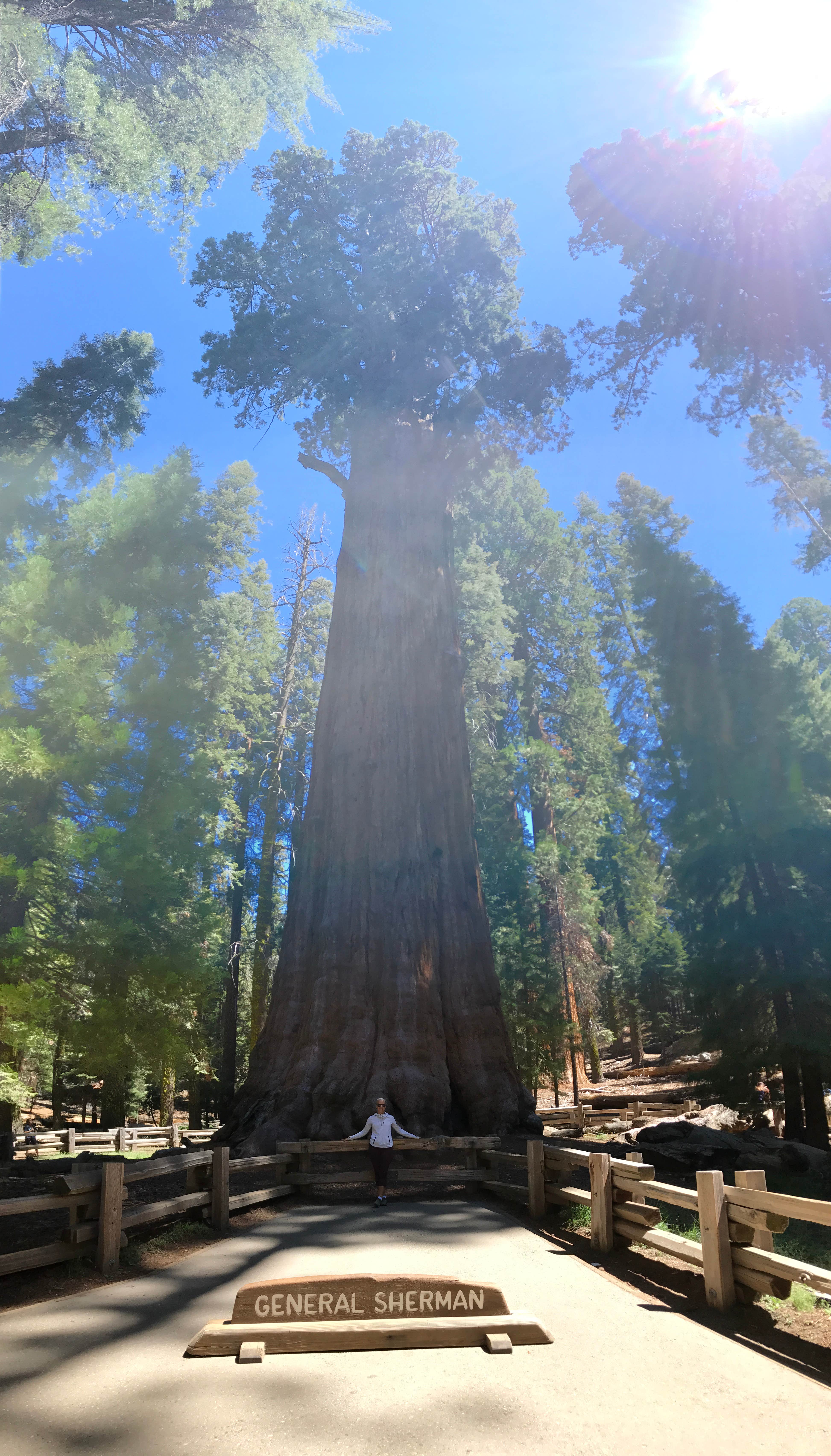 Camper-submitted photo at Cold Springs Campground — Sequoia National Park near Seven Pines, CA