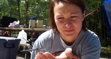 Catoctin Mountain/Owens Creek Campground