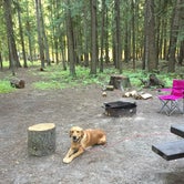 Review photo of Yaak River Campground by Bonnie E., August 7, 2018