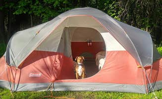 The Dyrt's photo at Betsie River Camp Site near Arcadia, MI
