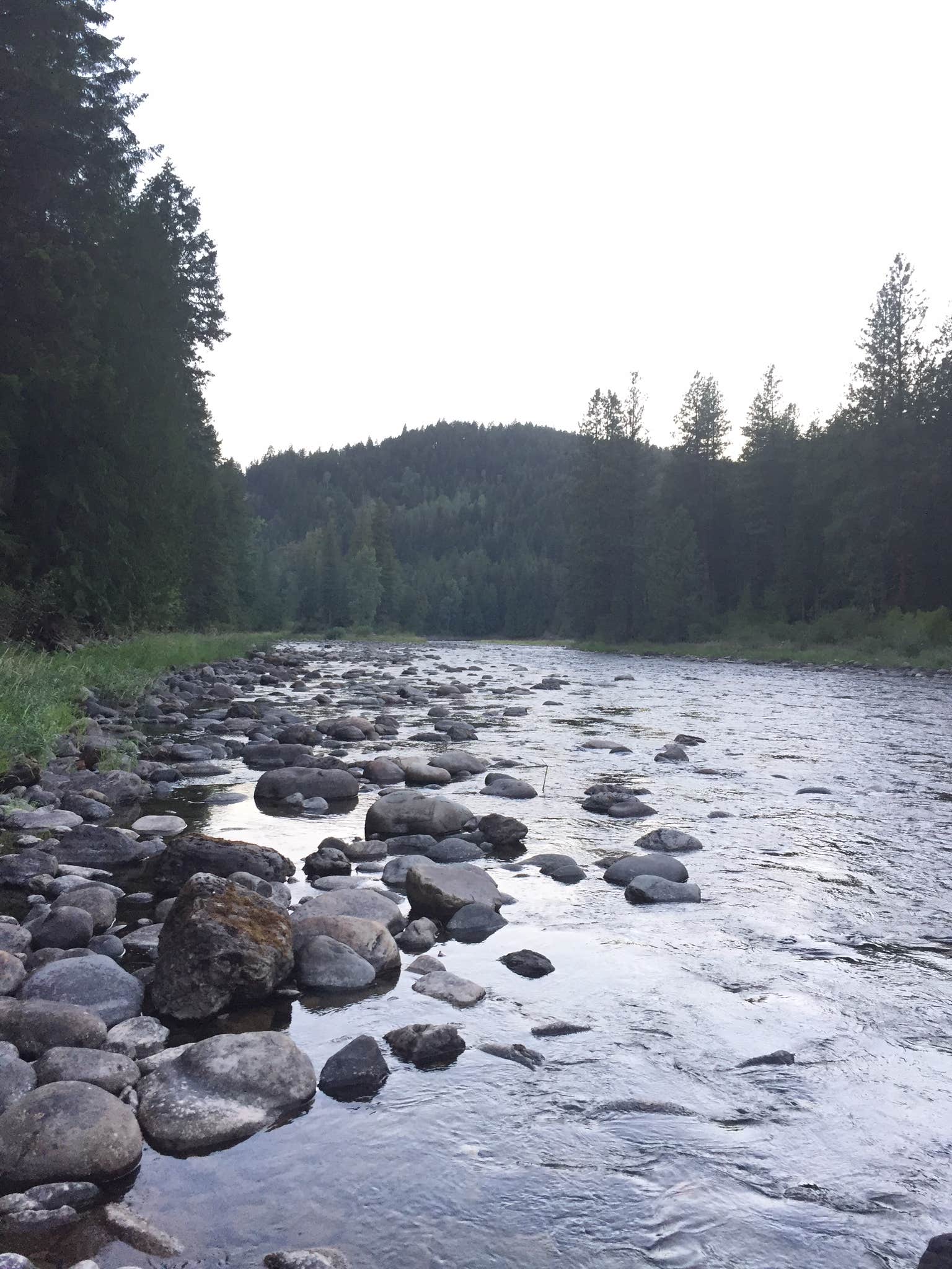 Water
