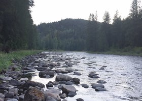 Kootenai National Forest Yaak River Campground