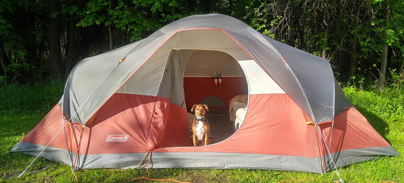 The Dyrt's photo at Betsie River Camp Site near Honor, MI