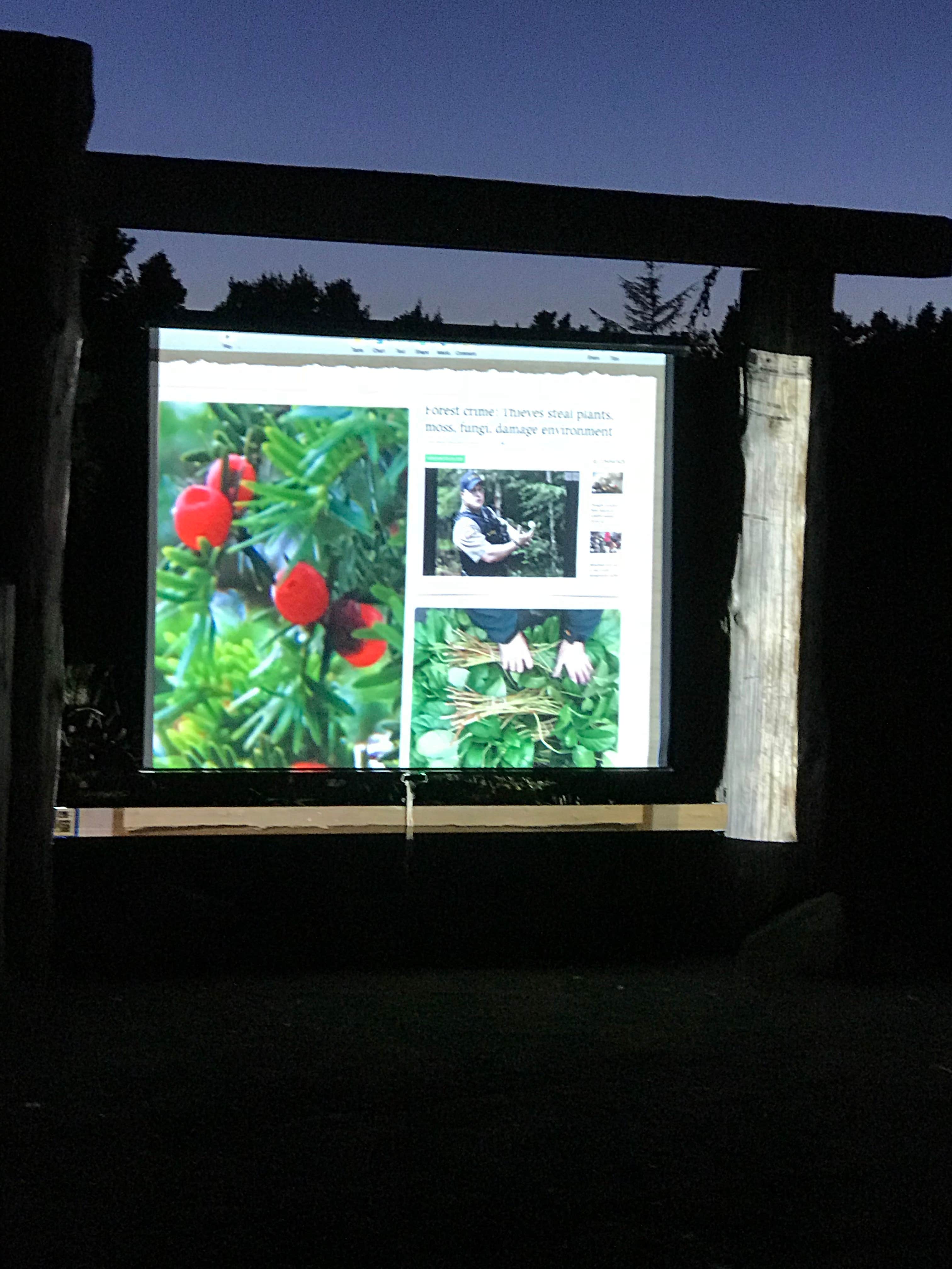 Camper-submitted photo at South Beach State Park Campground in Oregon