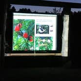 Review photo of South Beach State Park Campground by Jill T., August 6, 2018