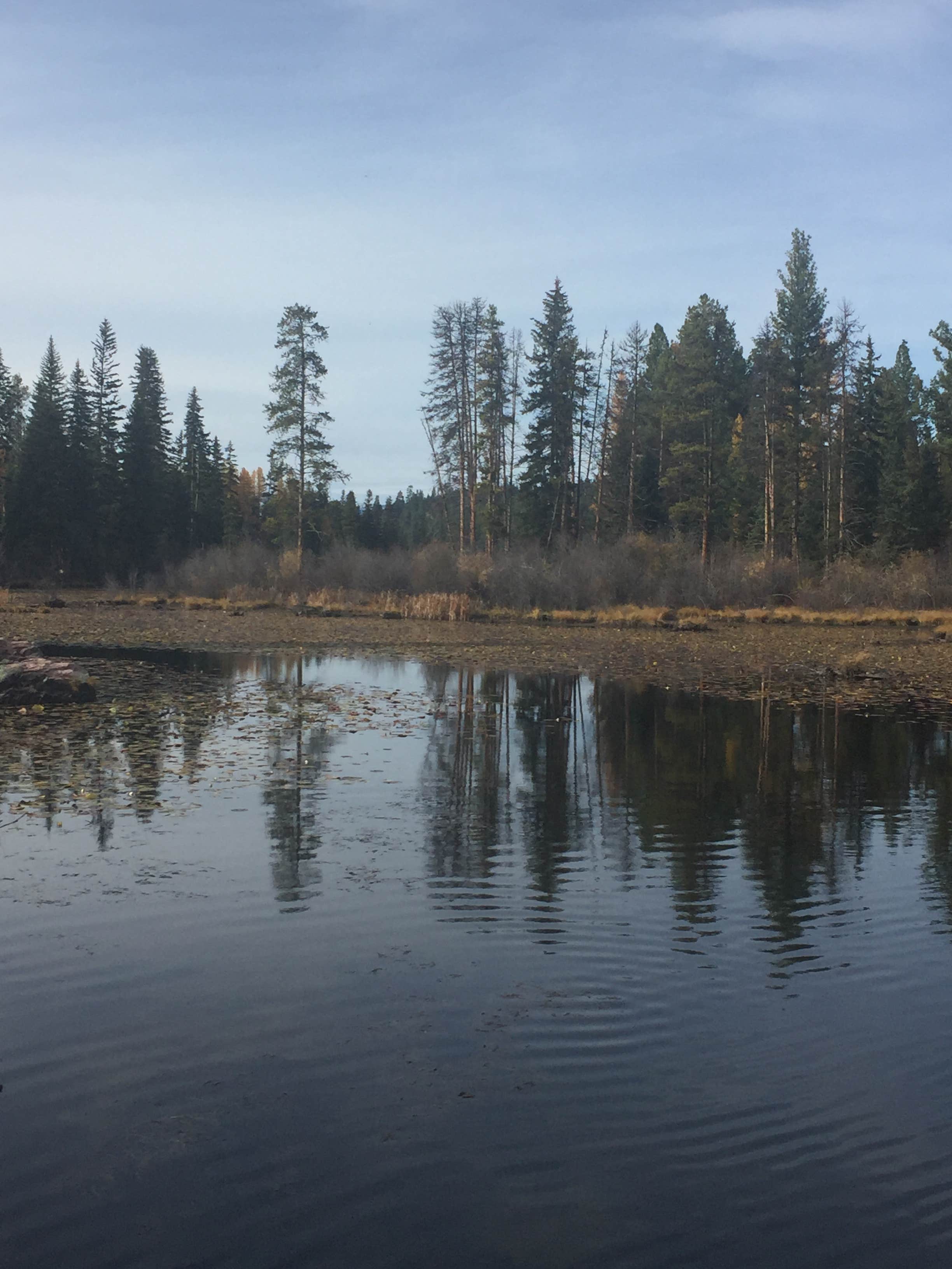 Placid Lake State Park Camping | The Dyrt