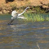 Review photo of Del Valle Regional Park by Rosina A., August 7, 2018